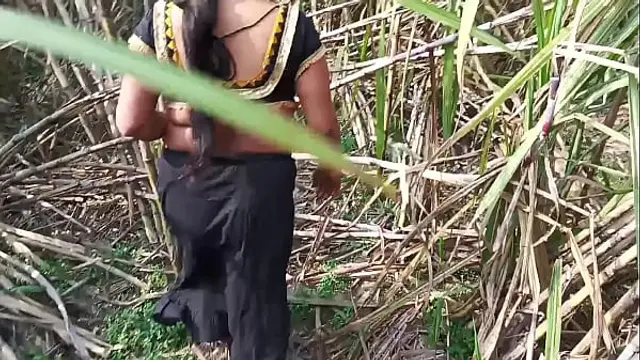 Desi step aunty outdoor sex with ganne ki khet me chudai