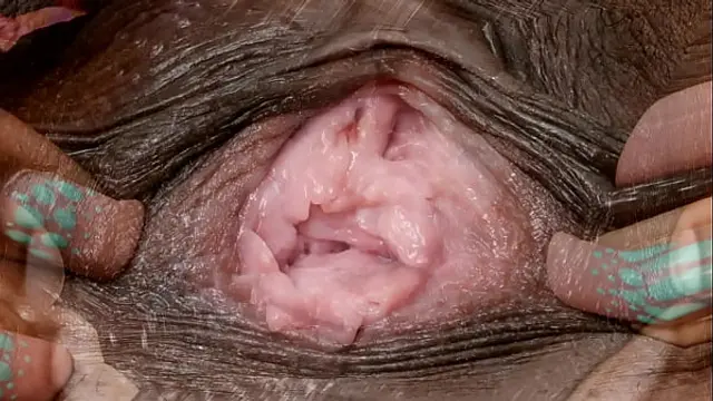 Female textures - Morphing 1 &lpar;HD 1080p&rpar;&lpar;Vagina close up hairy sex pussy&rpar;&lpar;by rumesco&rpar;