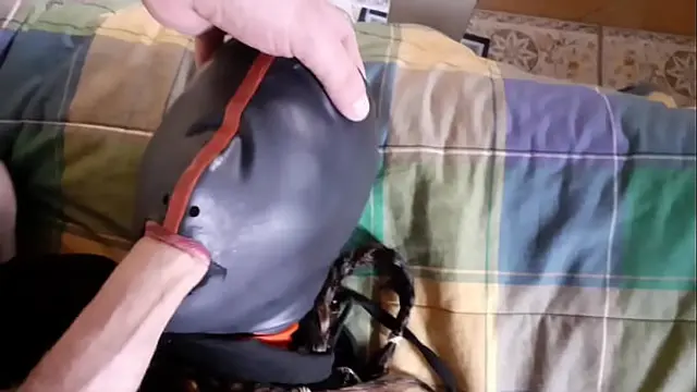 Hogtied on a bed on sexy clothes&comma; blindfolded&comma; had to suck a fat cock and rough fucked