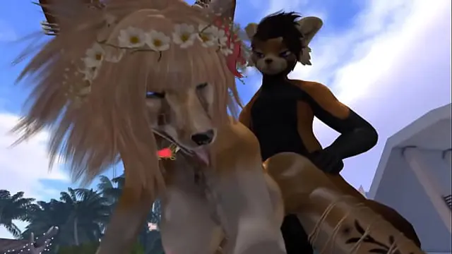 Exotic Dancer &lpar; Furry   Yiff &rpar;
