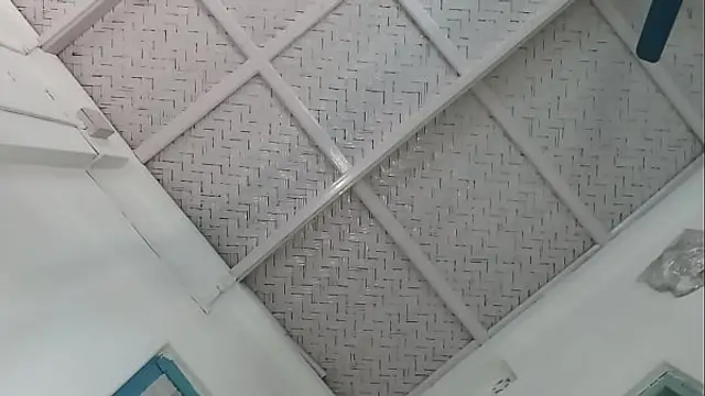 Pussy of indian maid exposed